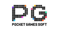 Software Partner